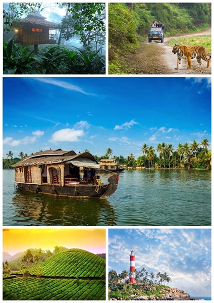 Kerala tour package from Delhi